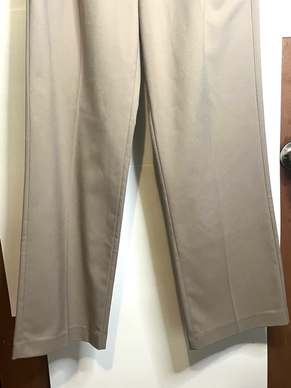 NWT Rails Women’s Size 0 (Waist 25) Marnie Pleated Front Pant in Almond - Picture 9 of 10